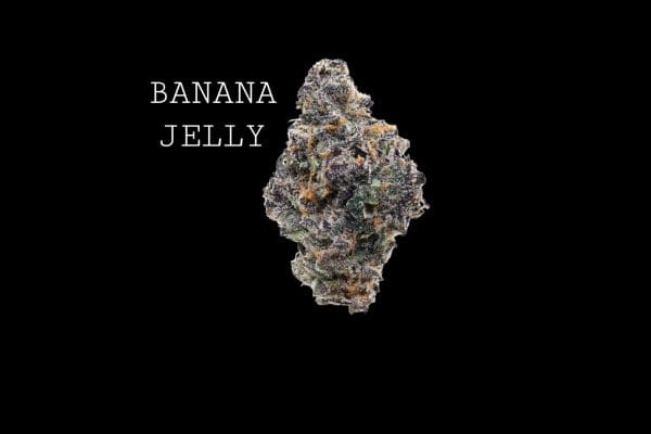 BANANA JELLY - ON SALE!!!