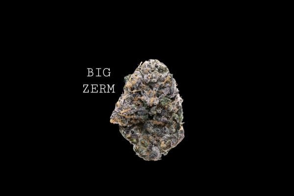BIG ZERM - ON SALE!!!
