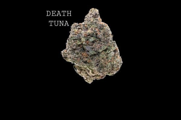 death tuna (1) DEATH TUNA