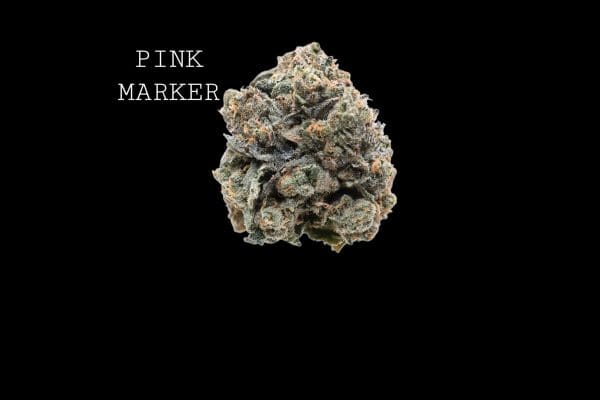PINK MARKER - ON SALE!!!