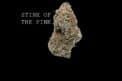 STINK OF THE PINK