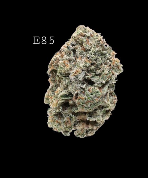 E85