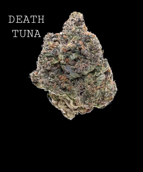 death tuna (1)