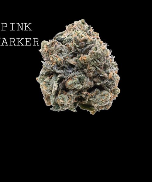 pink marker (2) (1)