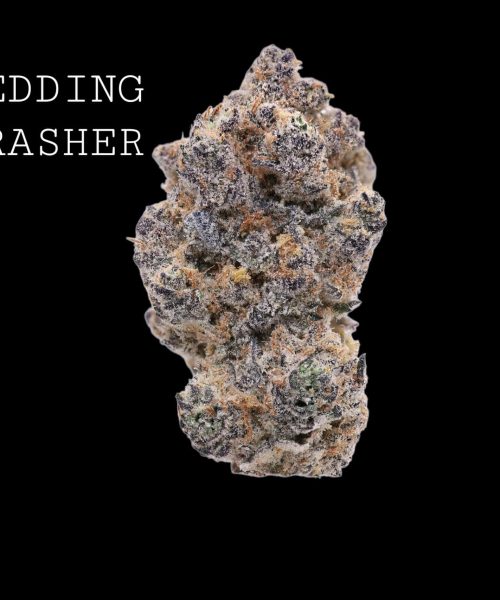 wedding-crasher-1